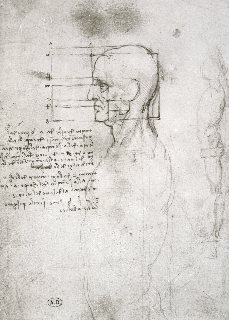 Vanhan miehen pää profiilissa, faksikopio (kynä ja muste paperille) tekijältä Leonardo da Vinci
