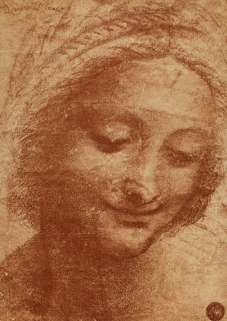 Naisen tai SantAnnan pää, Leonardo da Vincin piirustus, opinnäytetyö Sant Annan päähän maalausta varten, joka on nyt Louvressa, Madonna lapsen ja Sant Annan kanssa. Piirustus on Gallerie dellA:n galleriassa. tekijältä Leonardo da Vinci
