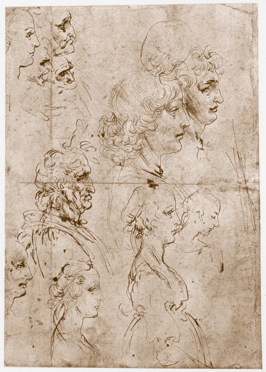 Tyttöjen, nuorten ja vanhojen miesten päät, 1478-1480 tekijältä Leonardo da Vinci