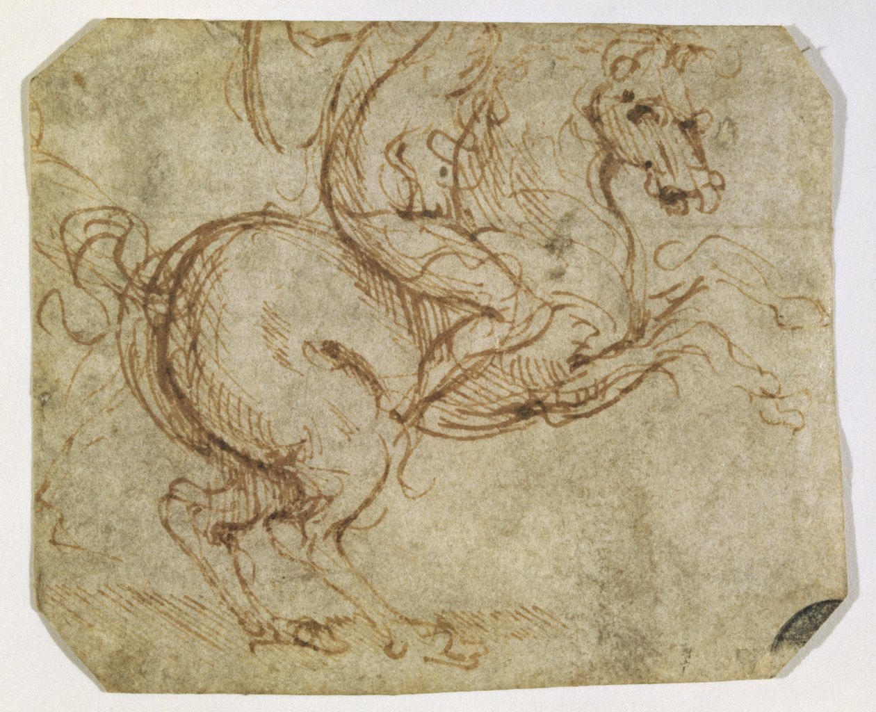 Hevonen ja ratsumies (kynä ja muste paperille) tekijältä Leonardo da Vinci