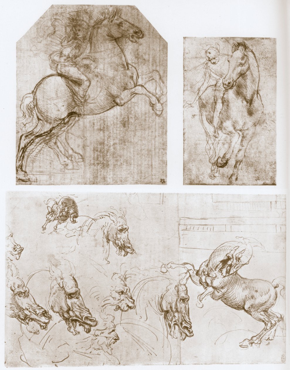 Ratsumies, 1480-1481. tekijältä Leonardo da Vinci