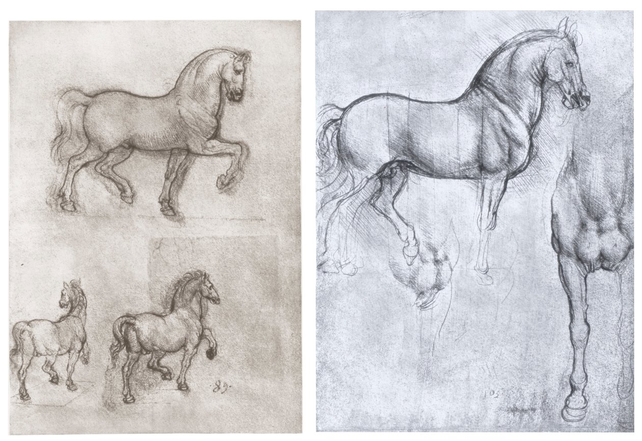 Hevoset, c1490-1510 tekijältä Leonardo da Vinci