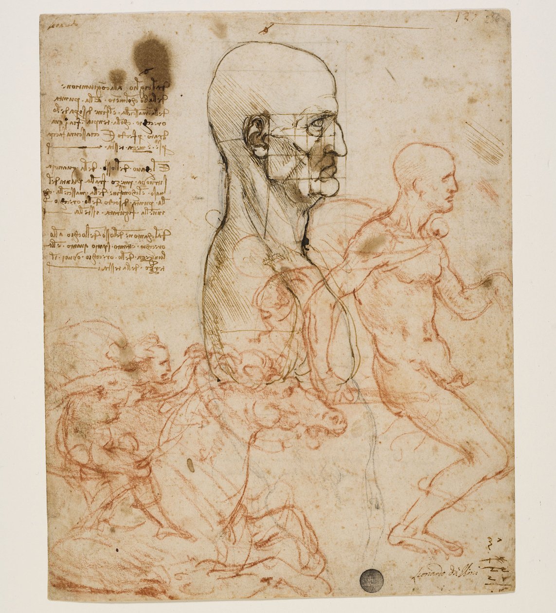 Ihmisen rintakuva profiilissa mittasuhteiden tutkimuksella, n. 1490-1499. tekijältä Leonardo da Vinci