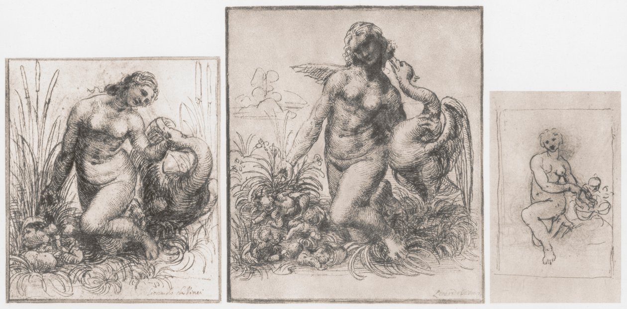 Leda ja joutsen, c1504-1506 tekijältä Leonardo da Vinci