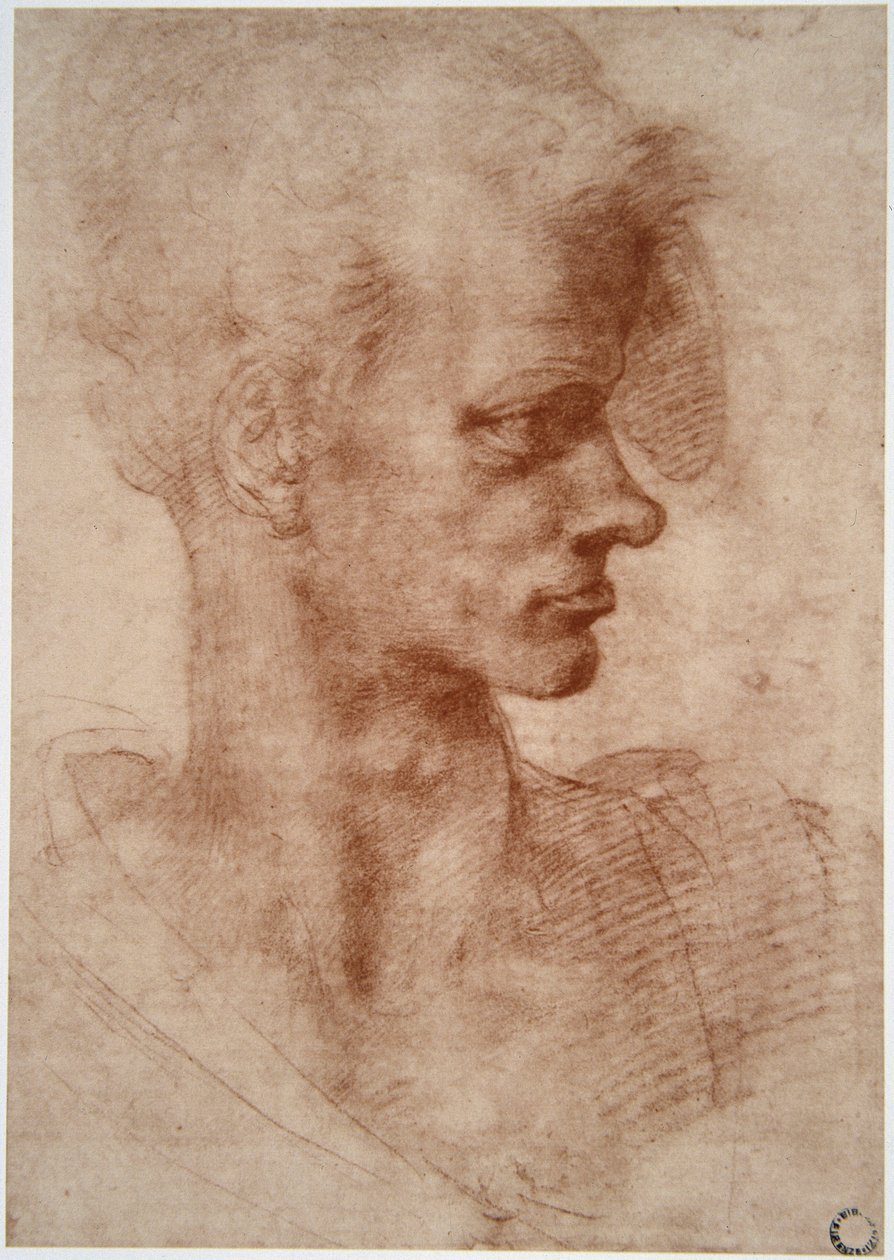 Leonardo da Vinci (Leonardo da Vinci) (1452 - 1519): Karikatyyrimuotokuva nuoresta miehestä (Imagine) tekijältä Leonardo da Vinci