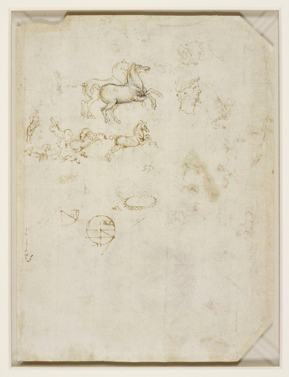 Leonardo da Vinci - Verso Hevoset ja Neron pää noin 1503-4. tekijältä Leonardo da Vinci