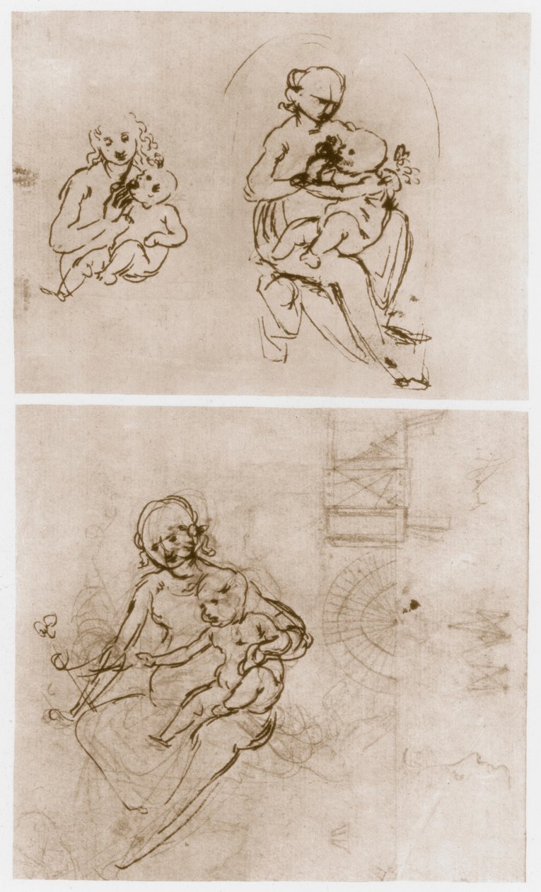 Madonna kukkanen, c1478. tekijältä Leonardo da Vinci