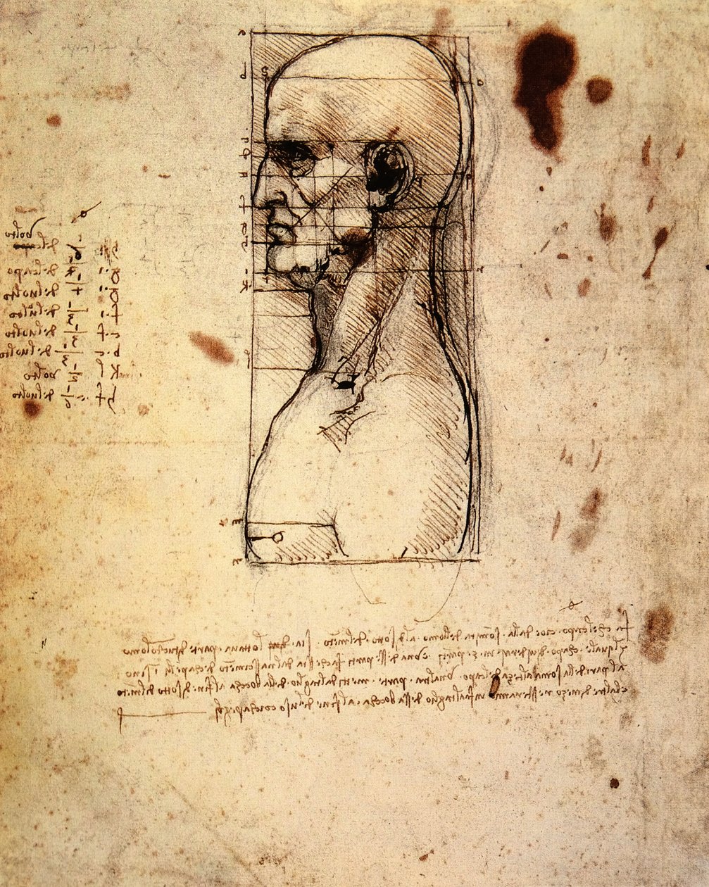 Miehen pää profiilissa ja mittasuhteet tekijältä Leonardo da Vinci