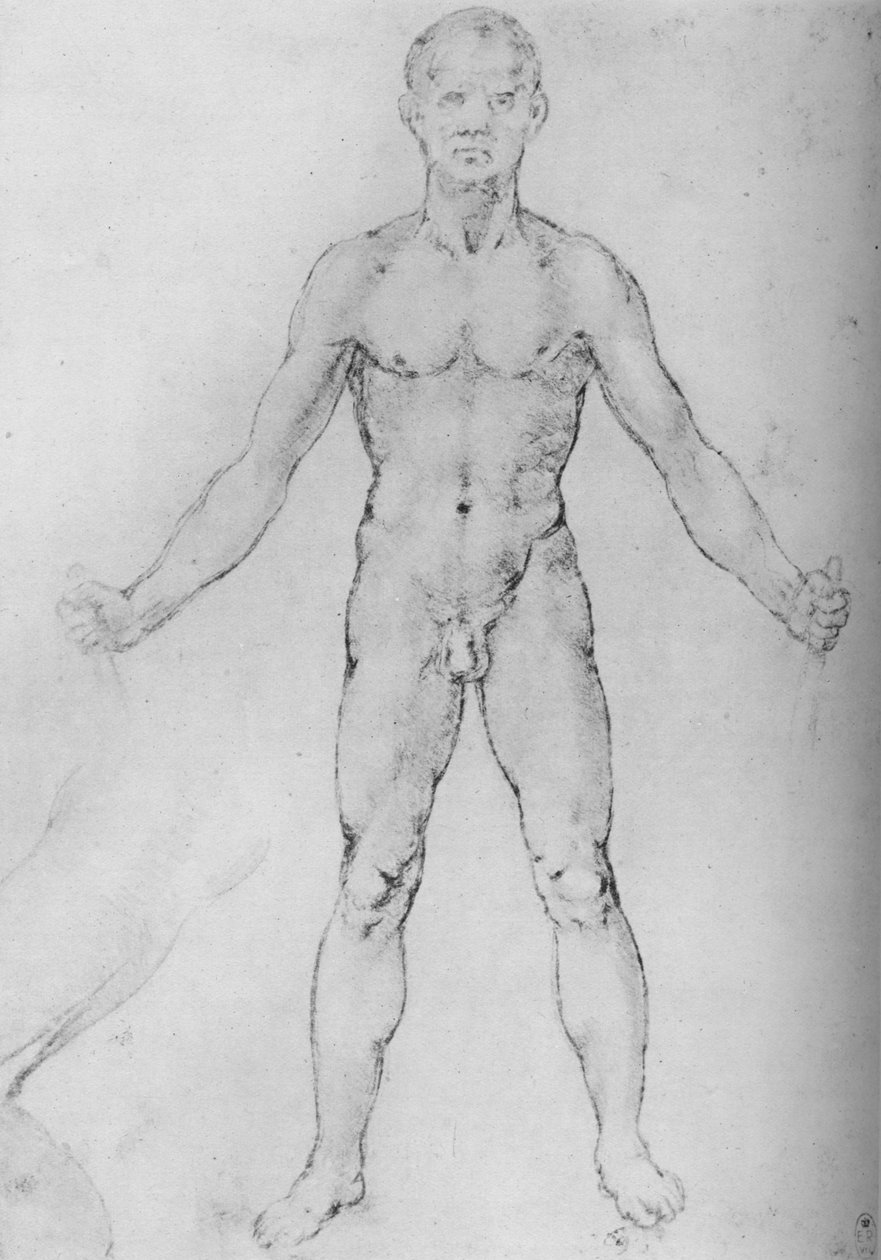 Alaston mies kädet ojennettuina edestä katsottuna, c1480 1945 tekijältä Leonardo da Vinci