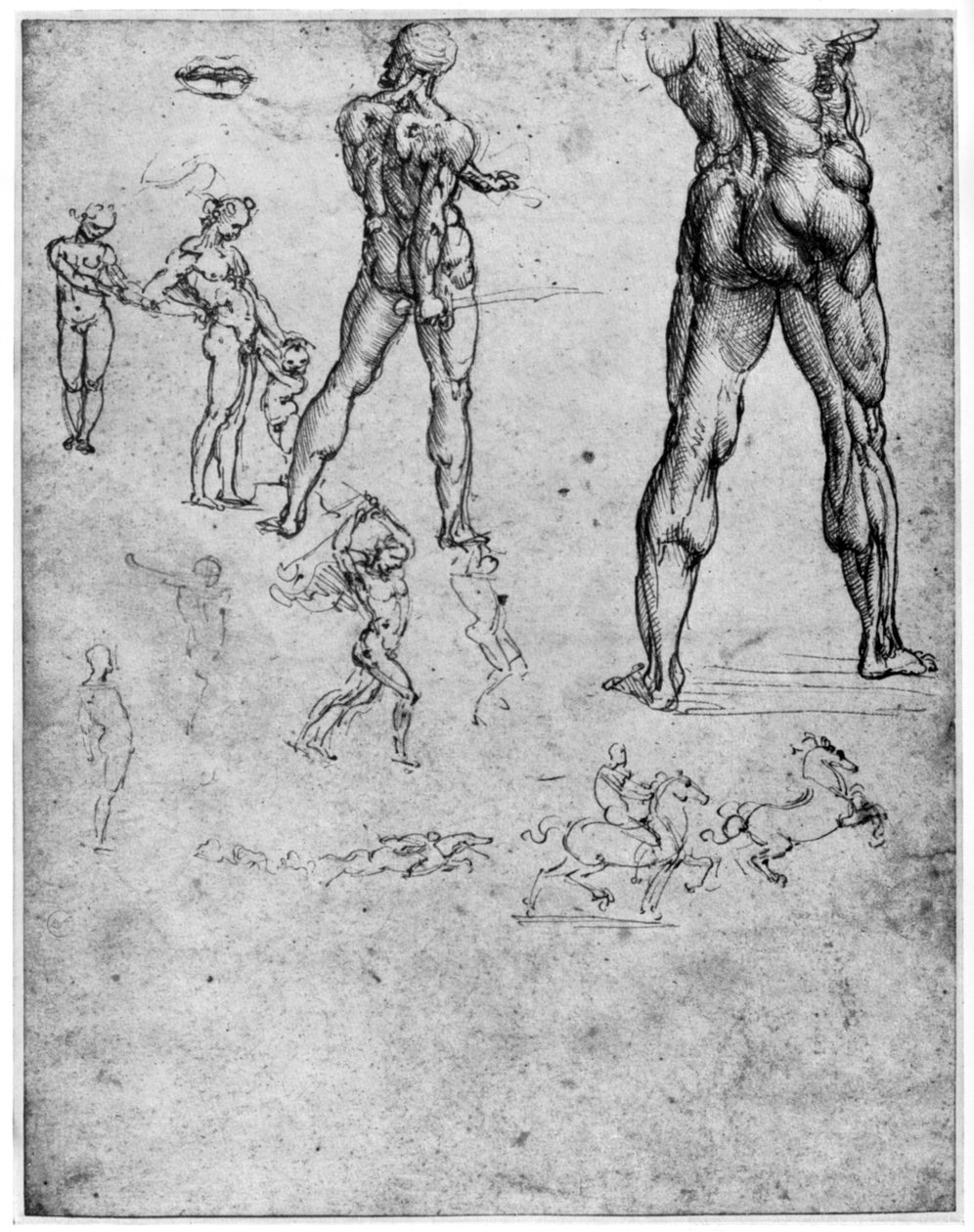 Alastontutkimukset Anghiarin taisteluun, c1503-1505 1954 tekijältä Leonardo da Vinci