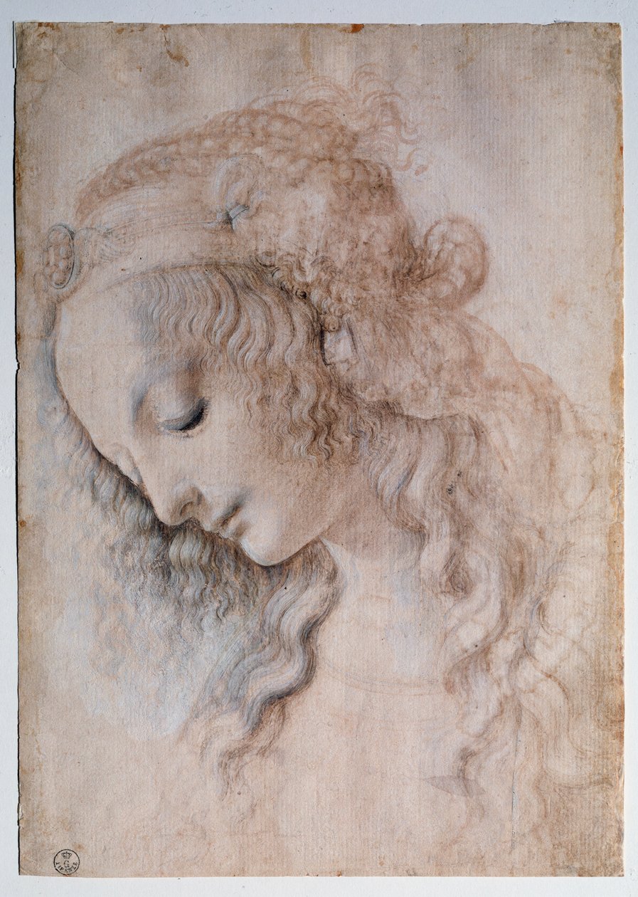 Tytön muotokuva - piirustus tekijältä Leonardo da Vinci