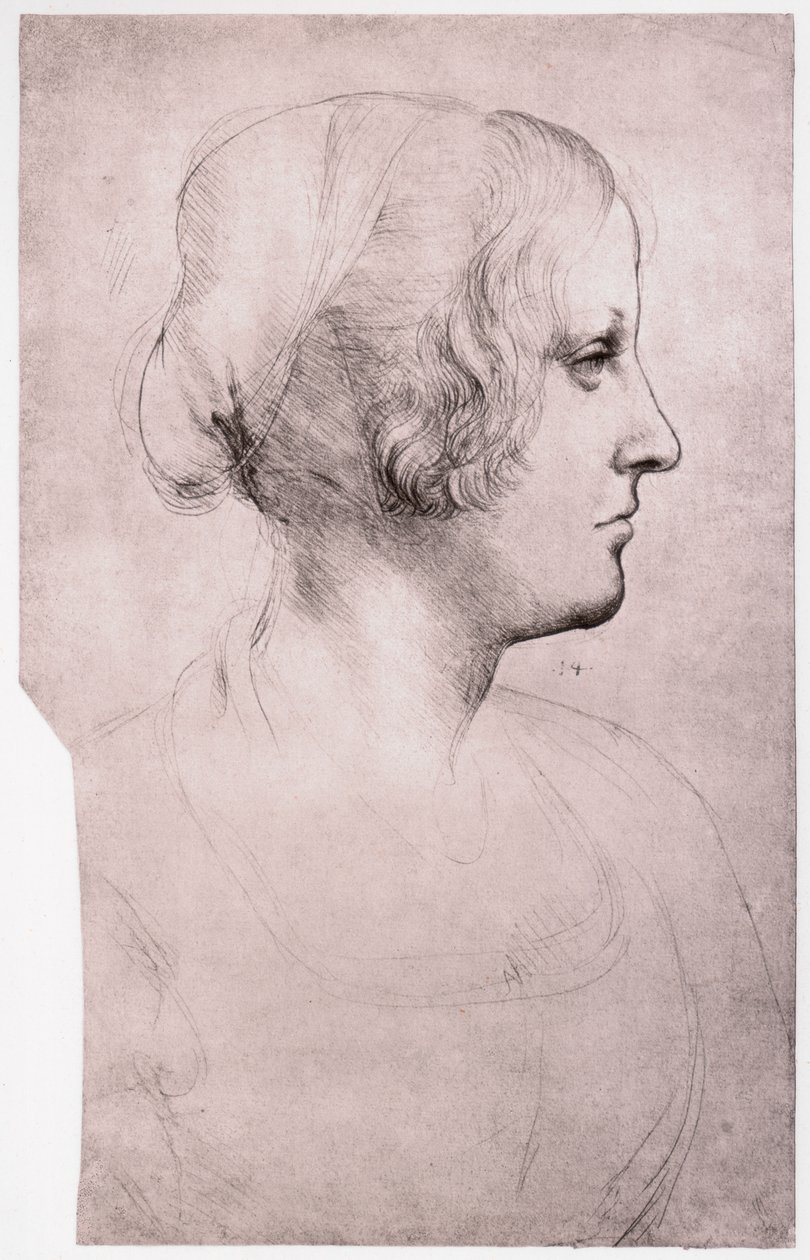 Muotokuva tytöstä, jolla on lippalakki, 1493-1495 tekijältä Leonardo da Vinci