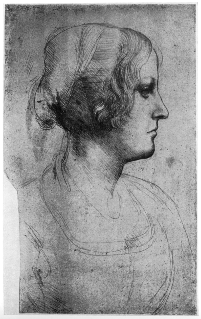 Muotokuvatutkimus nuoren tytön päästä, 1400-luku 1954. tekijältä Leonardo da Vinci