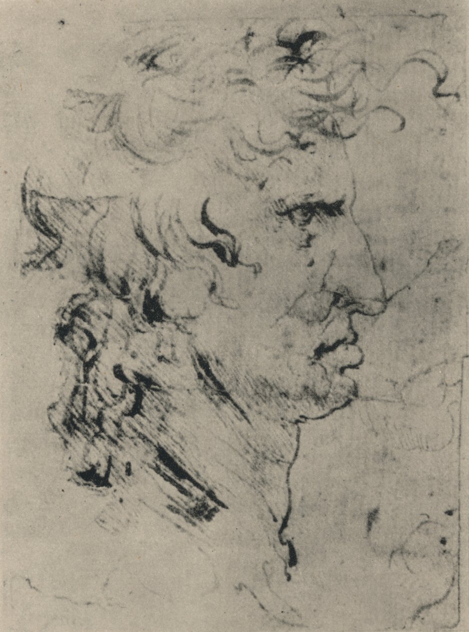 Oikealla olevan miehen profiili, c1480 1945 tekijältä Leonardo da Vinci