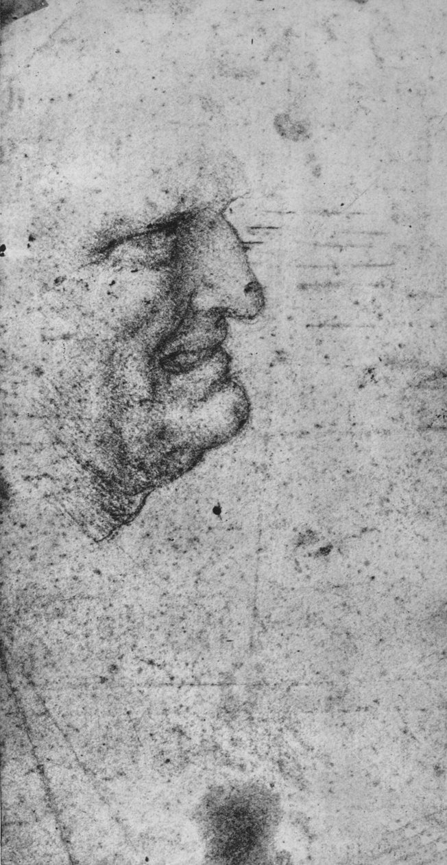 Miehen profiili, jolla on puristetut hampaat, c1480 1945 tekijältä Leonardo da Vinci