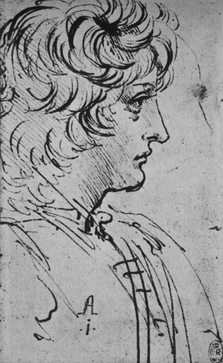 Oikeanpuoleisen nuoren profiili, c1480 1945 tekijältä Leonardo da Vinci