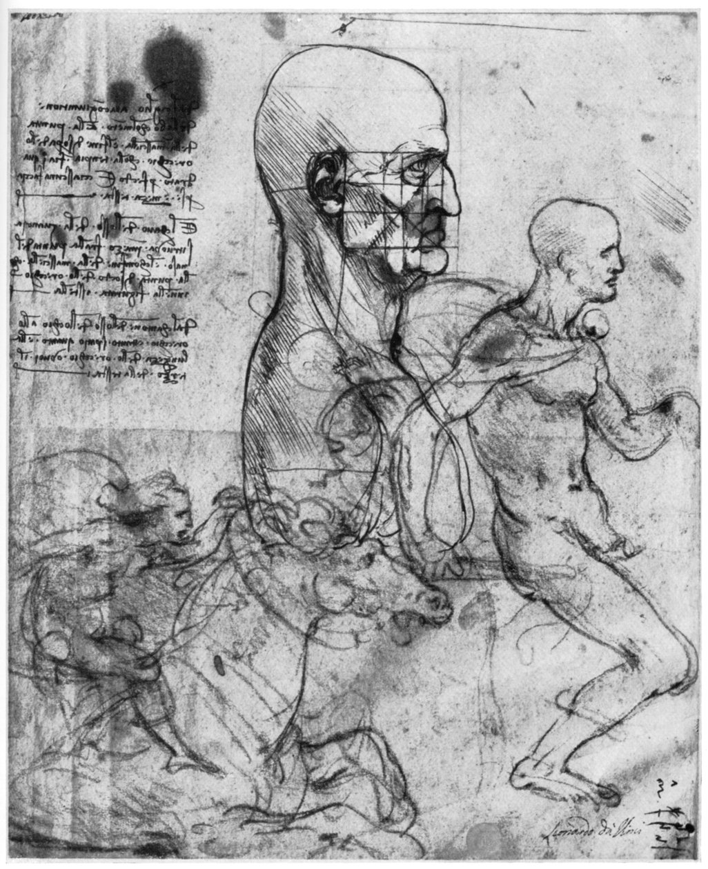 Miehen pään profiili ja kahden ratsastajan tutkimukset, c1490 ja c1504 1954. tekijältä Leonardo da Vinci