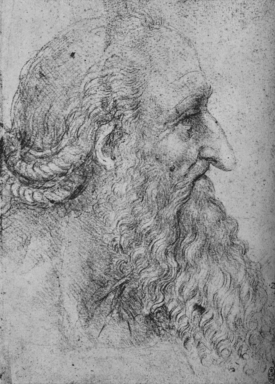 Vanhan, parrakkaan miehen profiili oikealla, c1480 1945 tekijältä Leonardo da Vinci