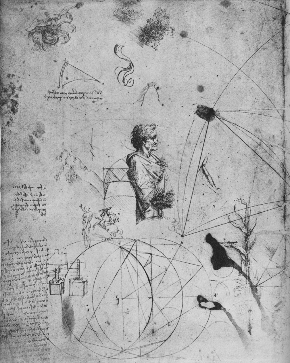 Vanhan miehen profiili, kasvit, geometriset hahmot jne., c1480 1945 tekijältä Leonardo da Vinci