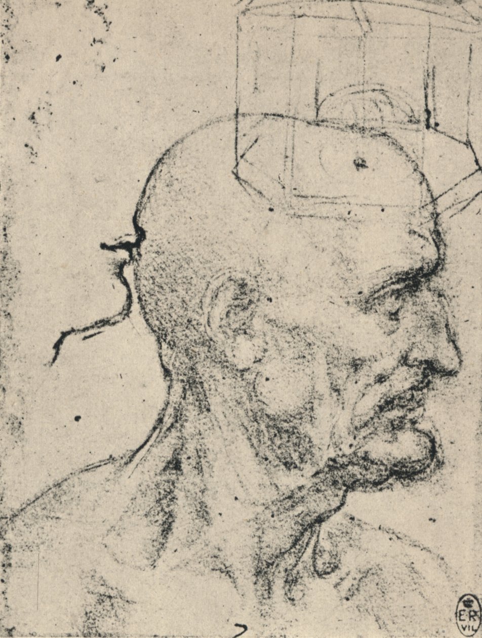 Kaljuun miehen oikealla puolella oleva profiili, c1480 1945 tekijältä Leonardo da Vinci