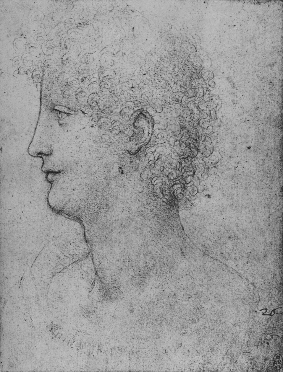 Kiharapäisen nuoren profiili vasemmalla, c1480 1945 tekijältä Leonardo da Vinci