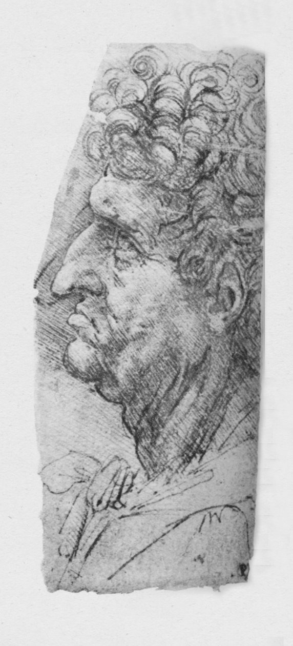 Profiili vasemmalla iäkkäästä miehestä, jolla on kiharat hiukset, c1480 1945 tekijältä Leonardo da Vinci