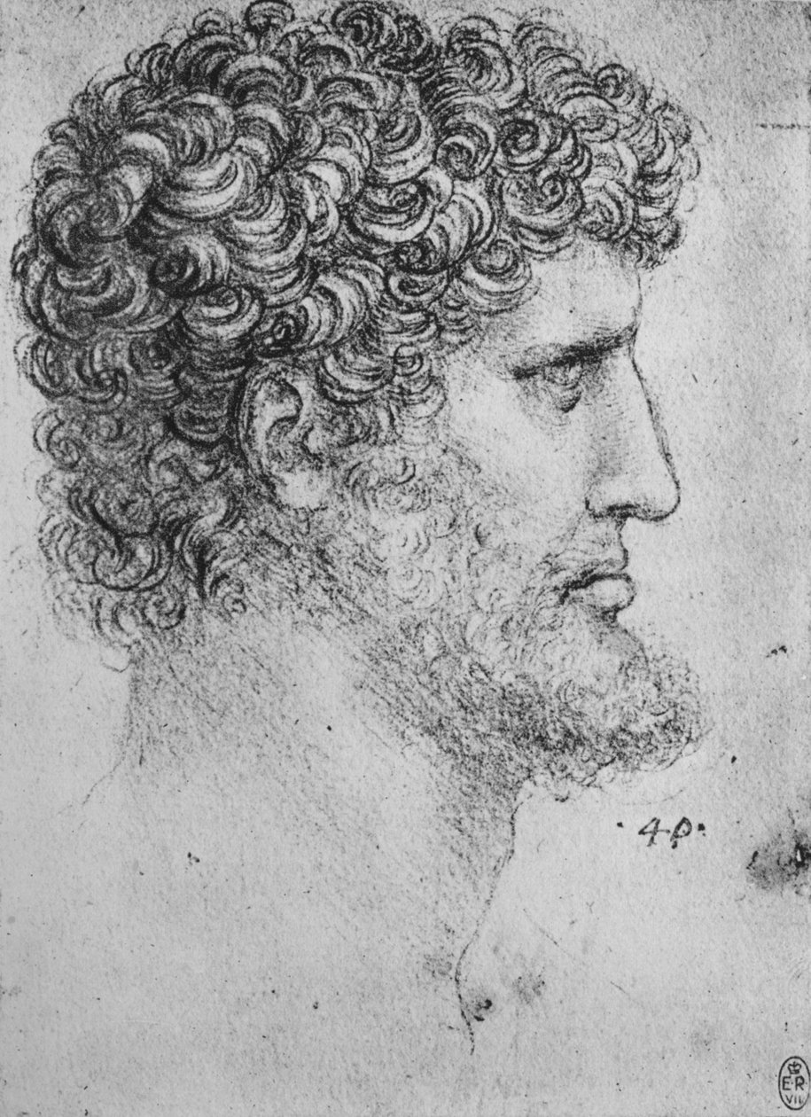 Parrakkaan miehen oikealla puolella oleva profiili, c1480 1945 tekijältä Leonardo da Vinci