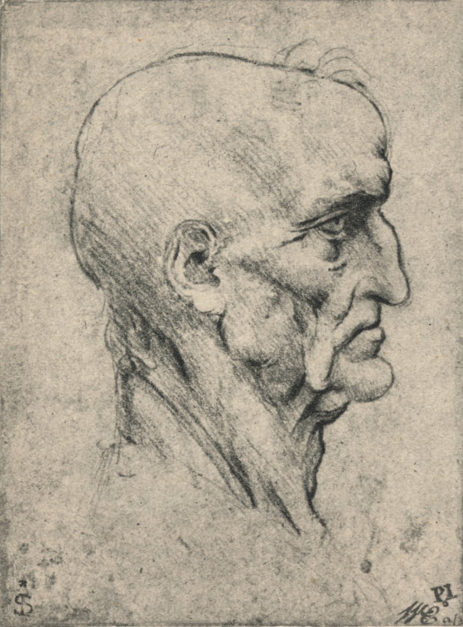 Ikääntyneen kaljun miehen profiili oikealla, c1480 1945 tekijältä Leonardo da Vinci