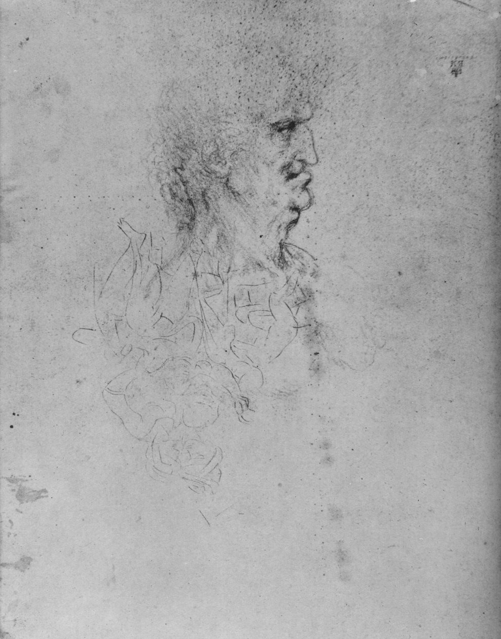 Profiili vanhan miehen oikealla puolella, c1480 1945 tekijältä Leonardo da Vinci