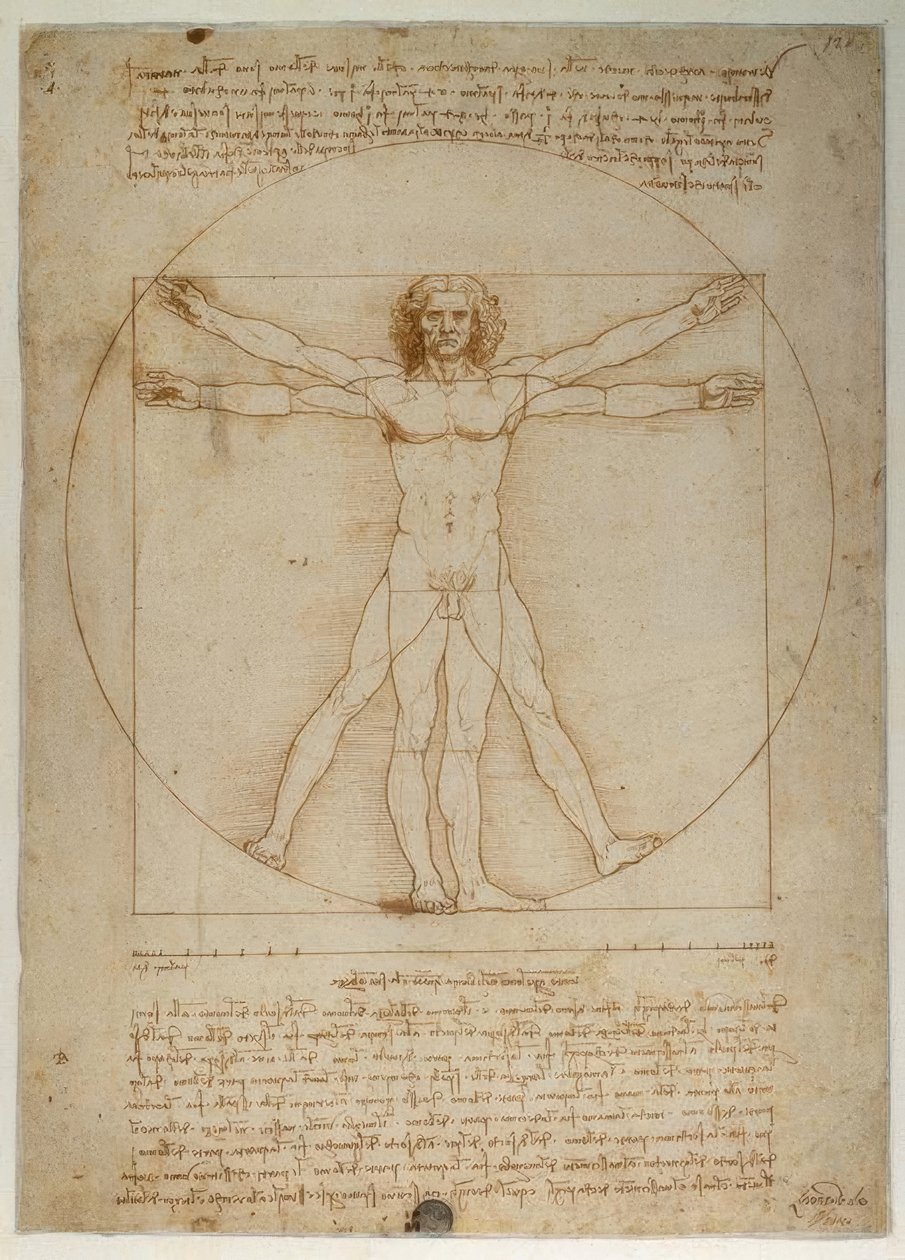 Proportionsschema der menschlichen Gestalt nach Vitruv tekijältä Leonardo da Vinci
