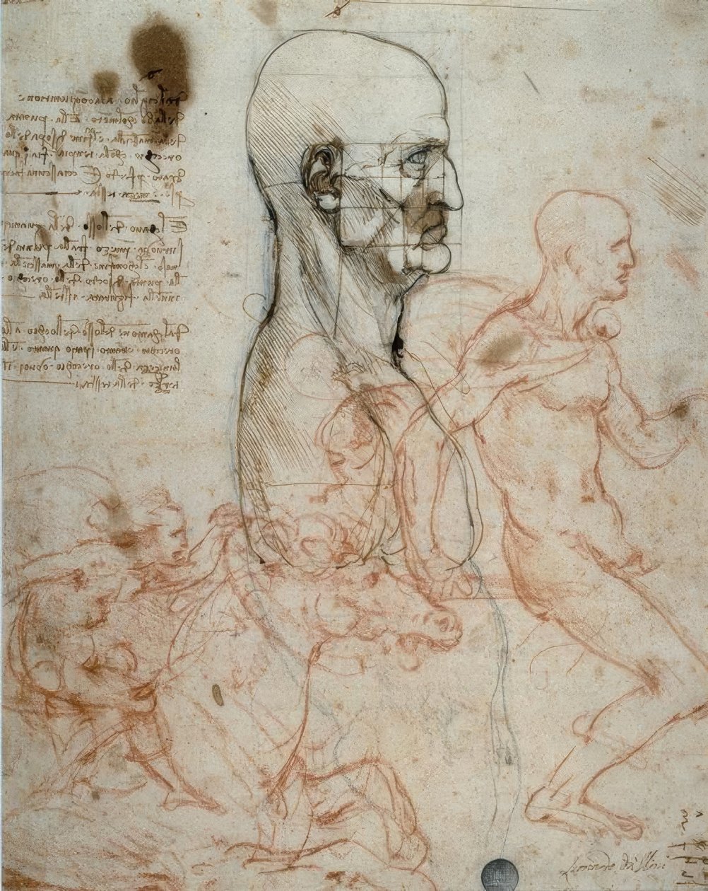 Proportionsschema des menschlichen Kopfes und Reiterstudien tekijältä Leonardo da Vinci