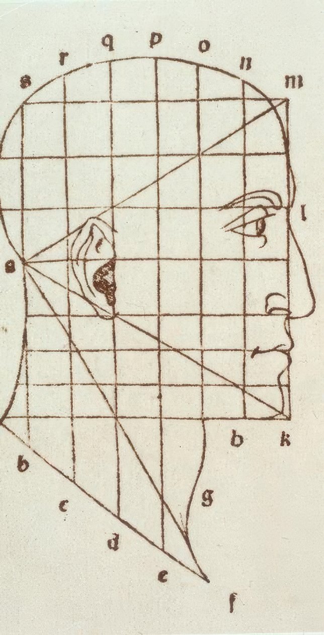 Ihmisen pään suhteellisuustutkimus tekijältä Leonardo da Vinci