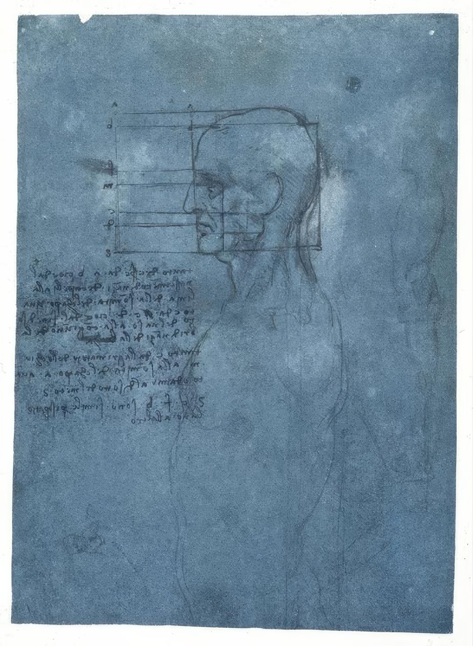 Proportionsstudie eines männlichen Kopfes im Profil tekijältä Leonardo da Vinci