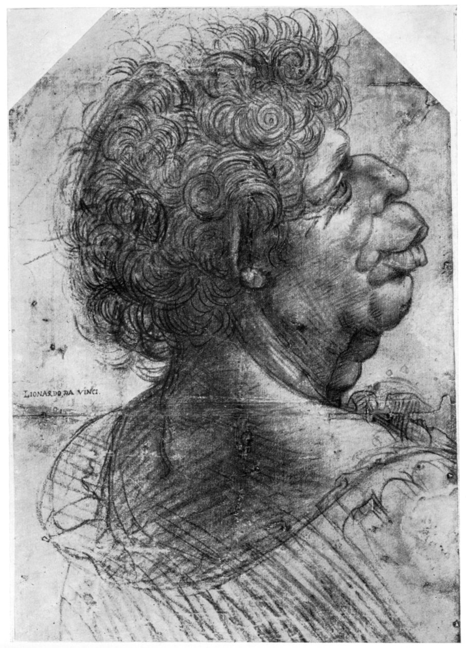 Kahakka, 1500-1505 1954 tekijältä Leonardo da Vinci