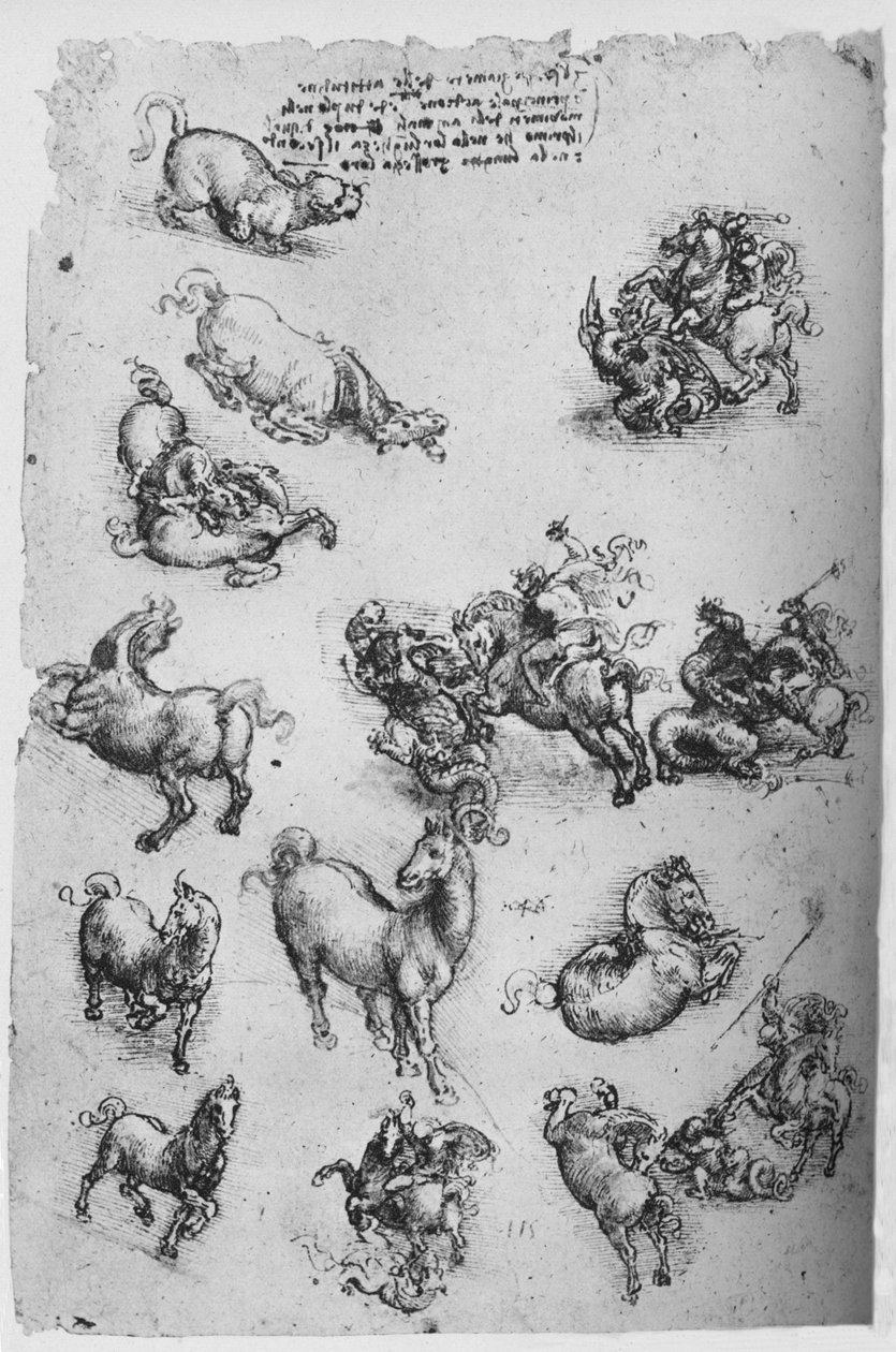 Hevosten, kissan ja Pyhän Yrjön ja lohikäärmeen tutkimuslehti, c1480 1945 tekijältä Leonardo da Vinci