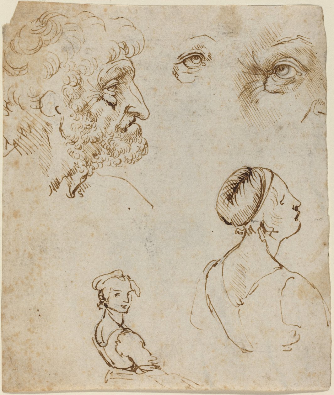 Tutkimusarkki [recto] tekijältä Leonardo da Vinci