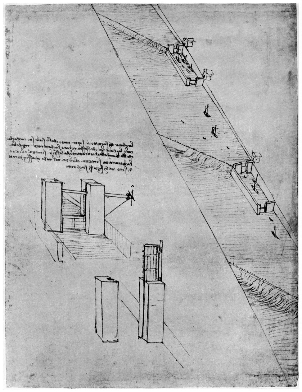 Luonnos sulkusta, 1400-luvun loppu tai 1500-luvun alku 1954. tekijältä Leonardo da Vinci