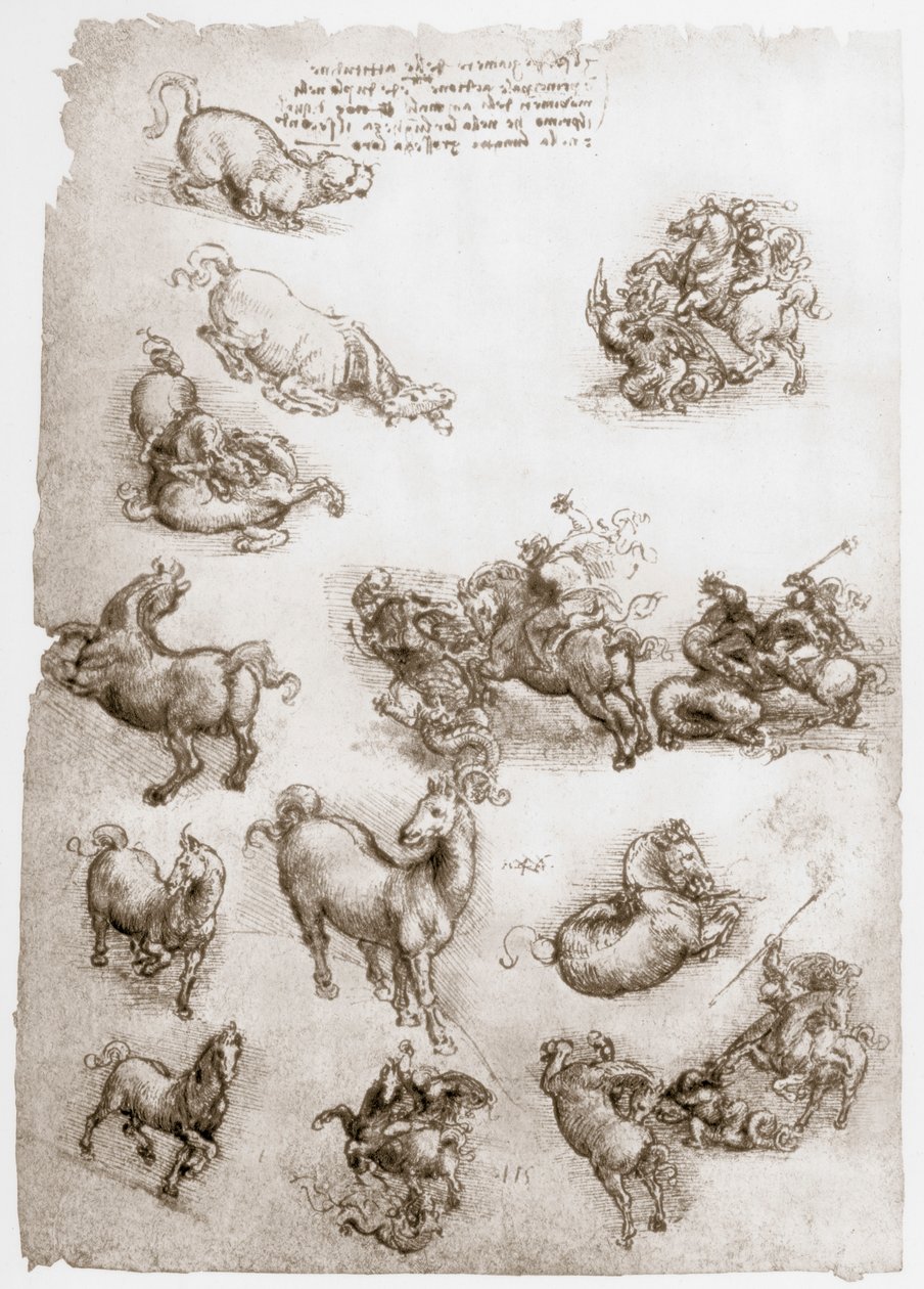 Pyhä Yrjö ja lohikäärme, c1506 tekijältä Leonardo da Vinci