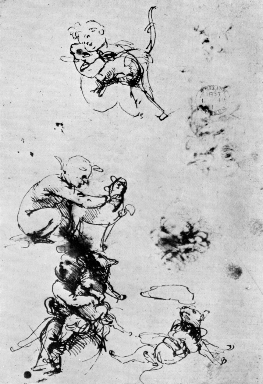 Tutkimuksia Madonna Del Gattolle, 1400-luku 1930. tekijältä Leonardo da Vinci