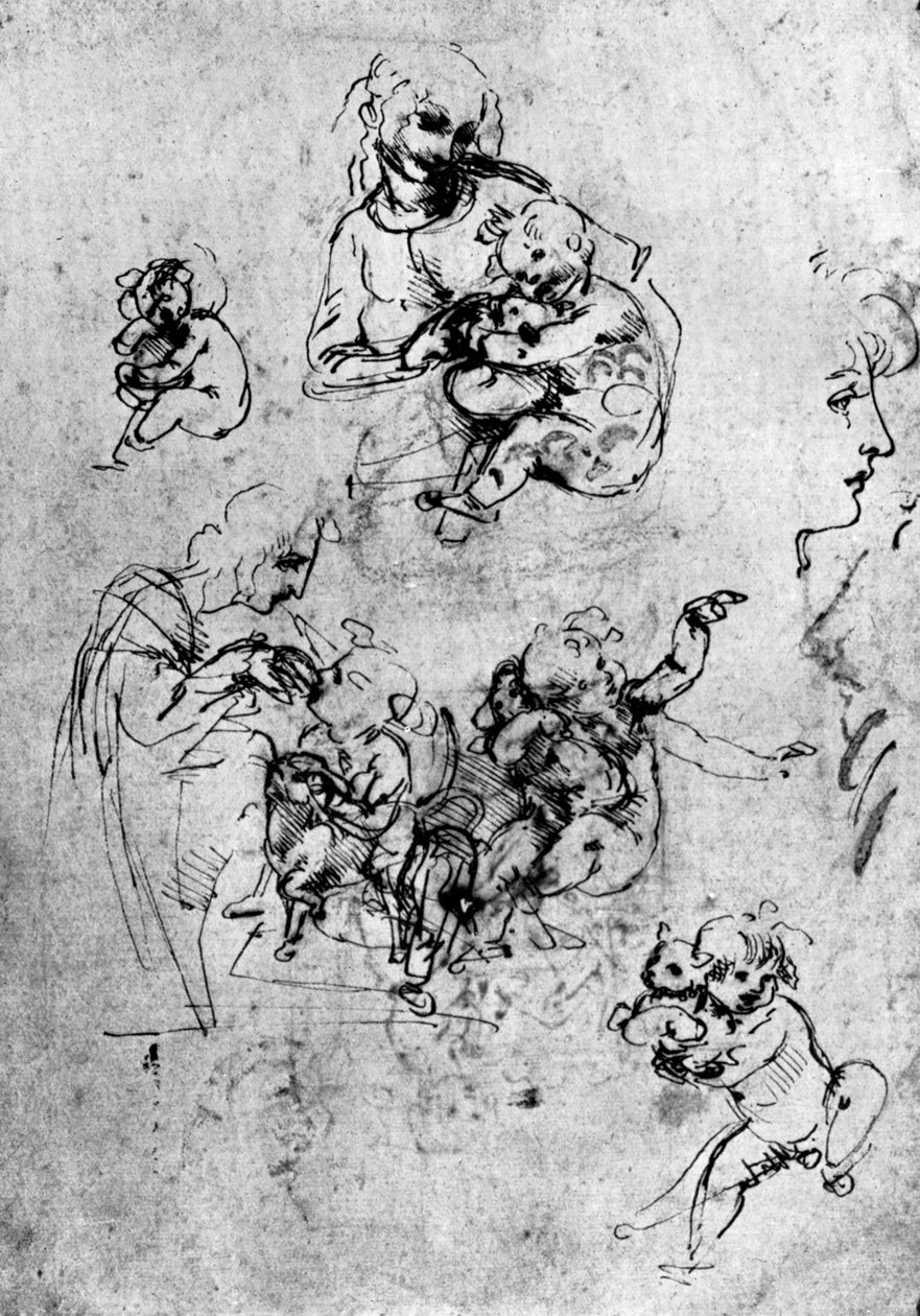 Tutkimuksia Madonna Del Gattolle, 1400-luku 1930. tekijältä Leonardo da Vinci