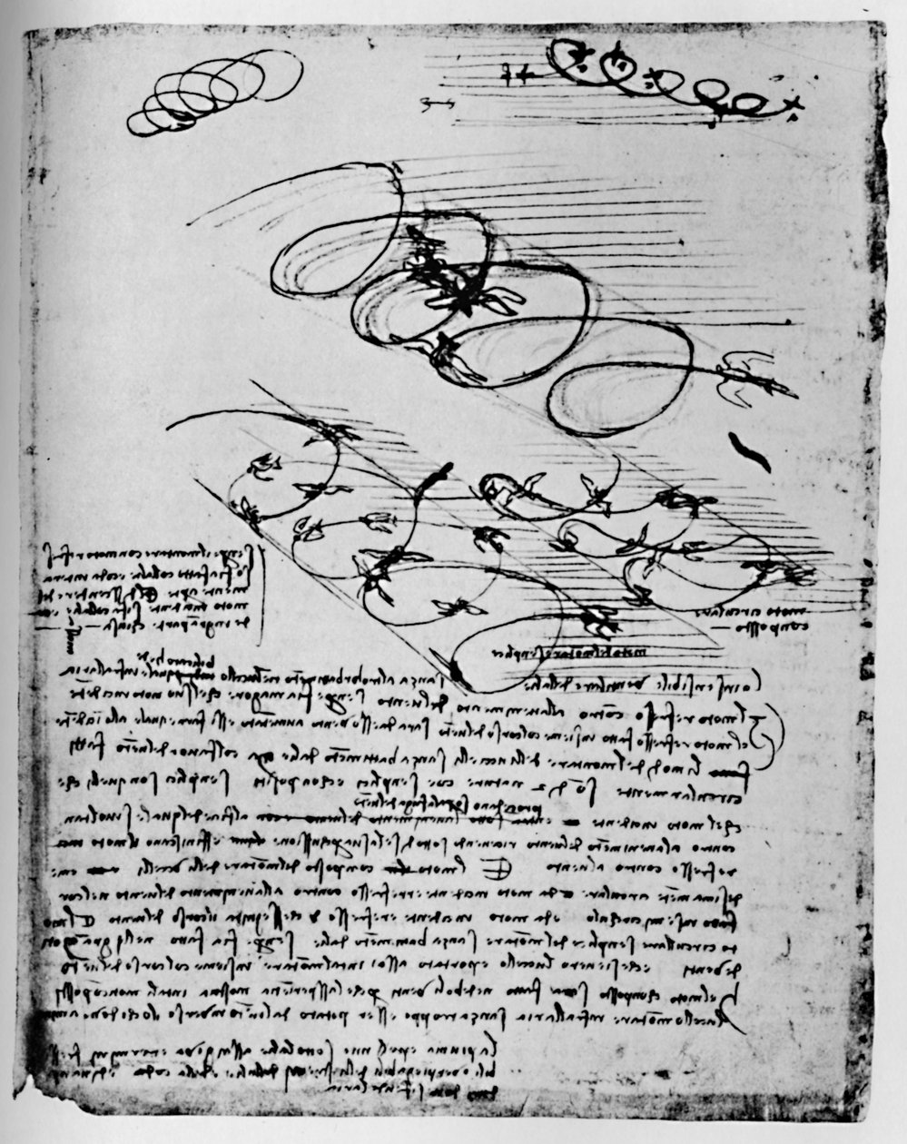 Tutkimuksia linnuista lennossa noustessa ja kiertäessä, 1928 tekijältä Leonardo da Vinci
