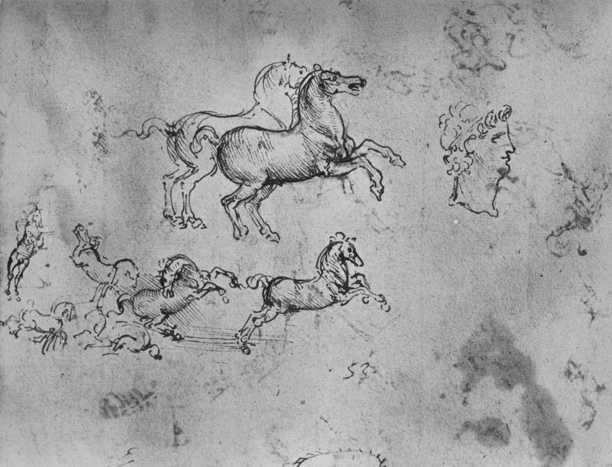 Studies of Galloping Hevoset ja pää, c1480 1945 tekijältä Leonardo da Vinci