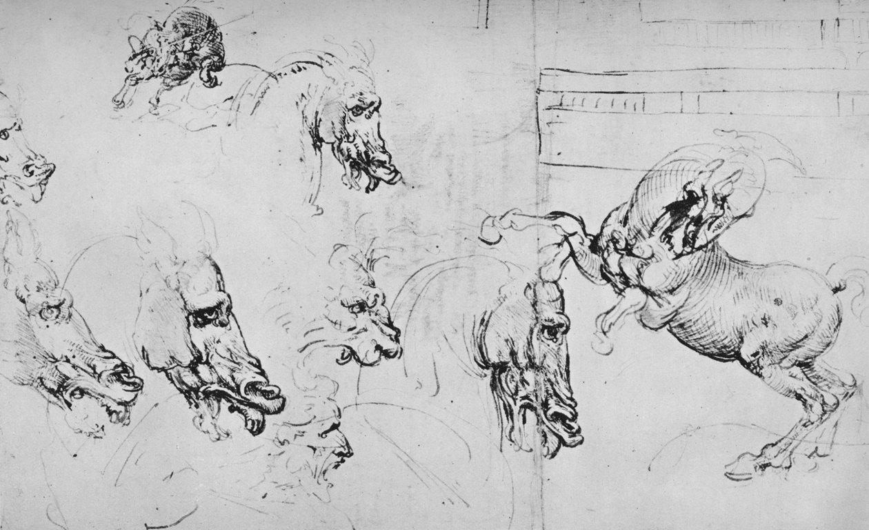 Hevosten päiden ja kasvatushevosen tutkimukset, c1480 1945 tekijältä Leonardo da Vinci