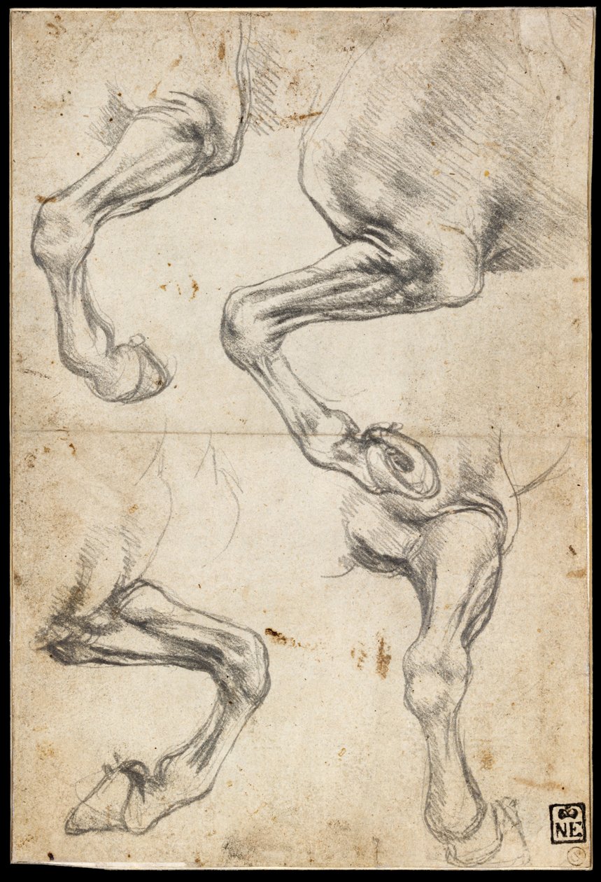 Hevosten jalkojen tutkimukset tekijältä Leonardo da Vinci