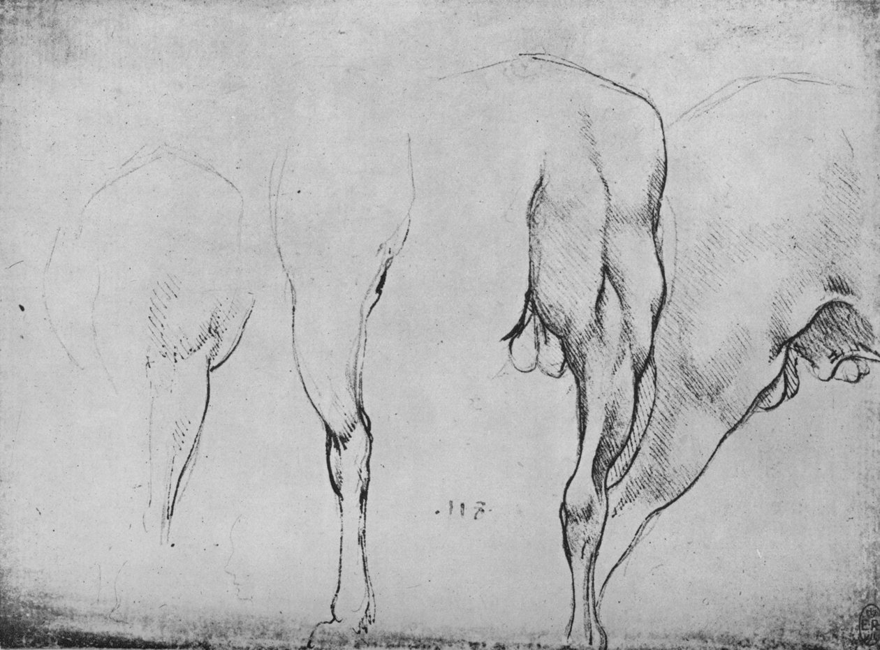Hevosten jalkojen tutkimukset, c1480 1945 tekijältä Leonardo da Vinci