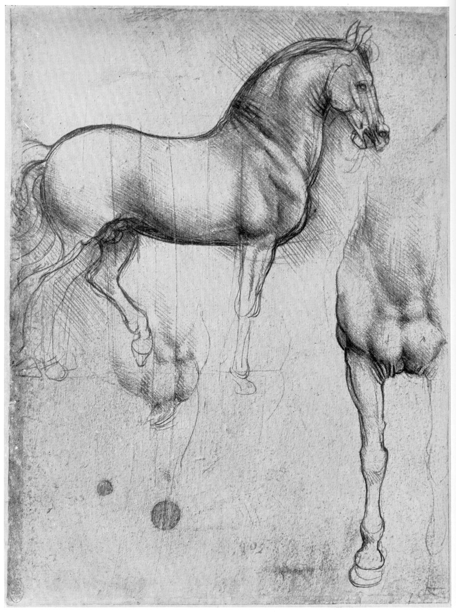 Studies of Horses, c1490 1954 tekijältä Leonardo da Vinci