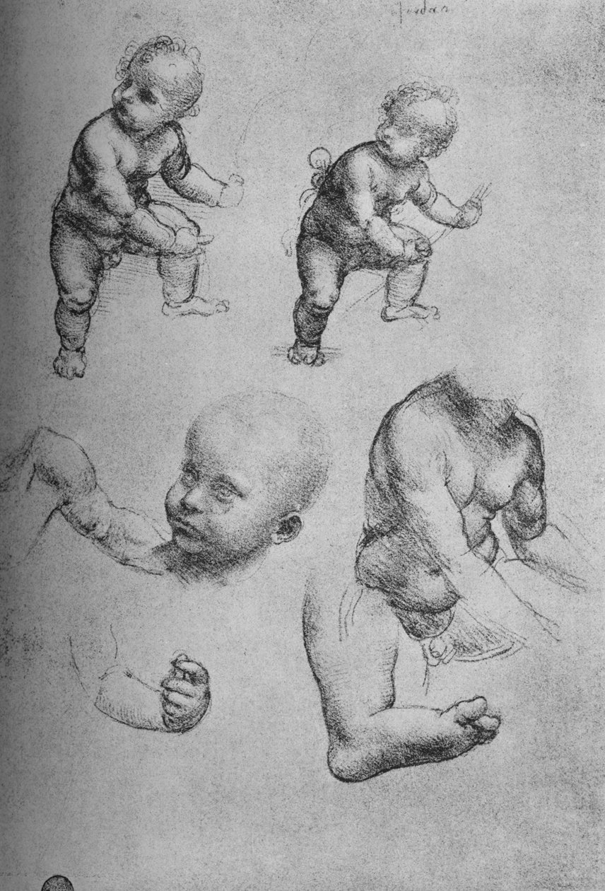 Tutkimuksia lapsesta ja lapsen osista, c1480 1945 tekijältä Leonardo da Vinci