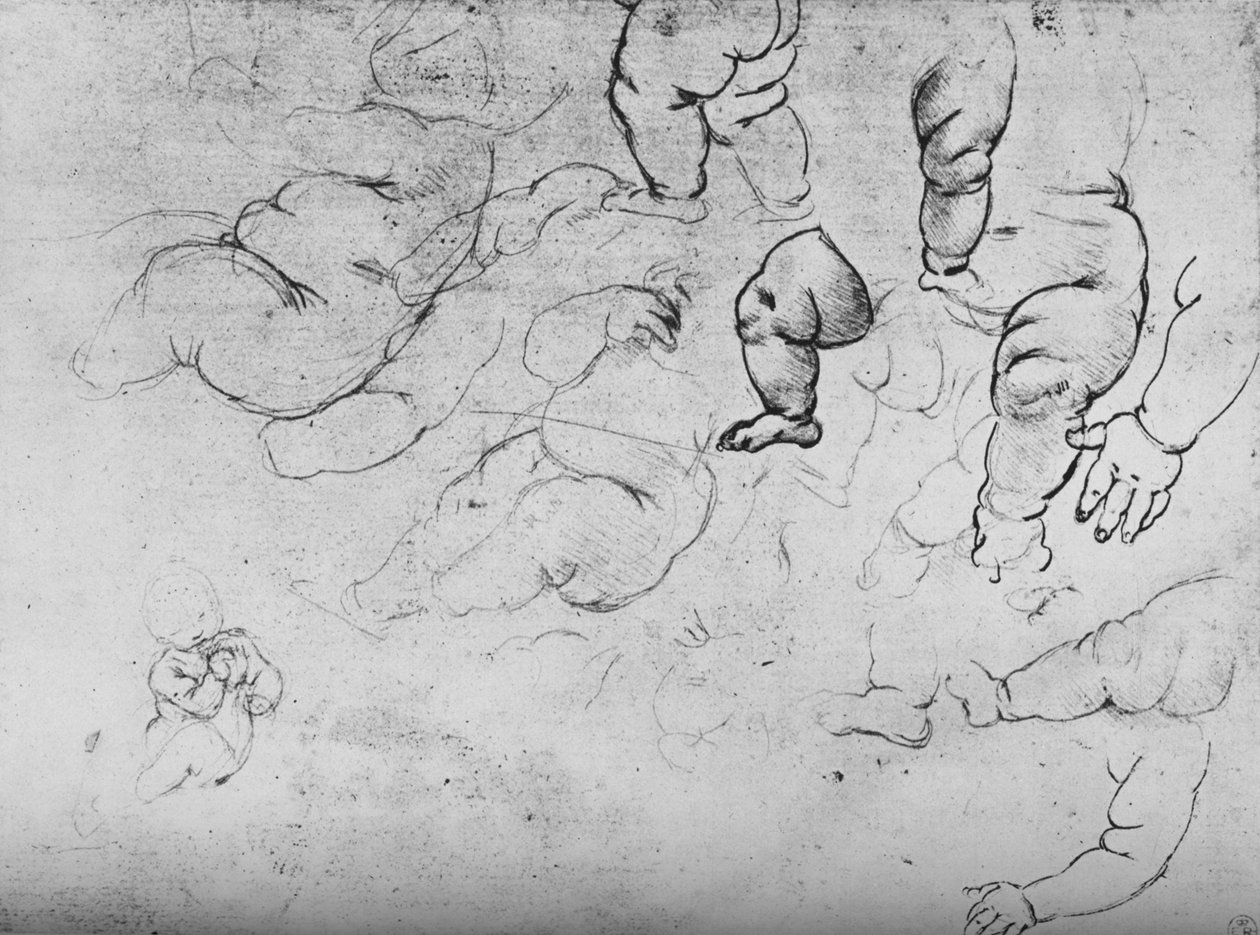 Studies of a Child, c1490 1945 tekijältä Leonardo da Vinci