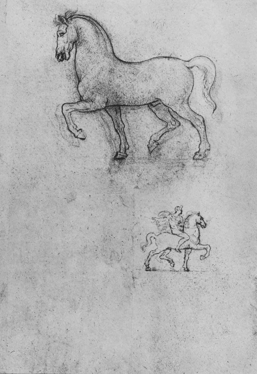 Tutkimuksia hevosesta ja hevosesta ja ratsastajasta, c1480 1945 tekijältä Leonardo da Vinci