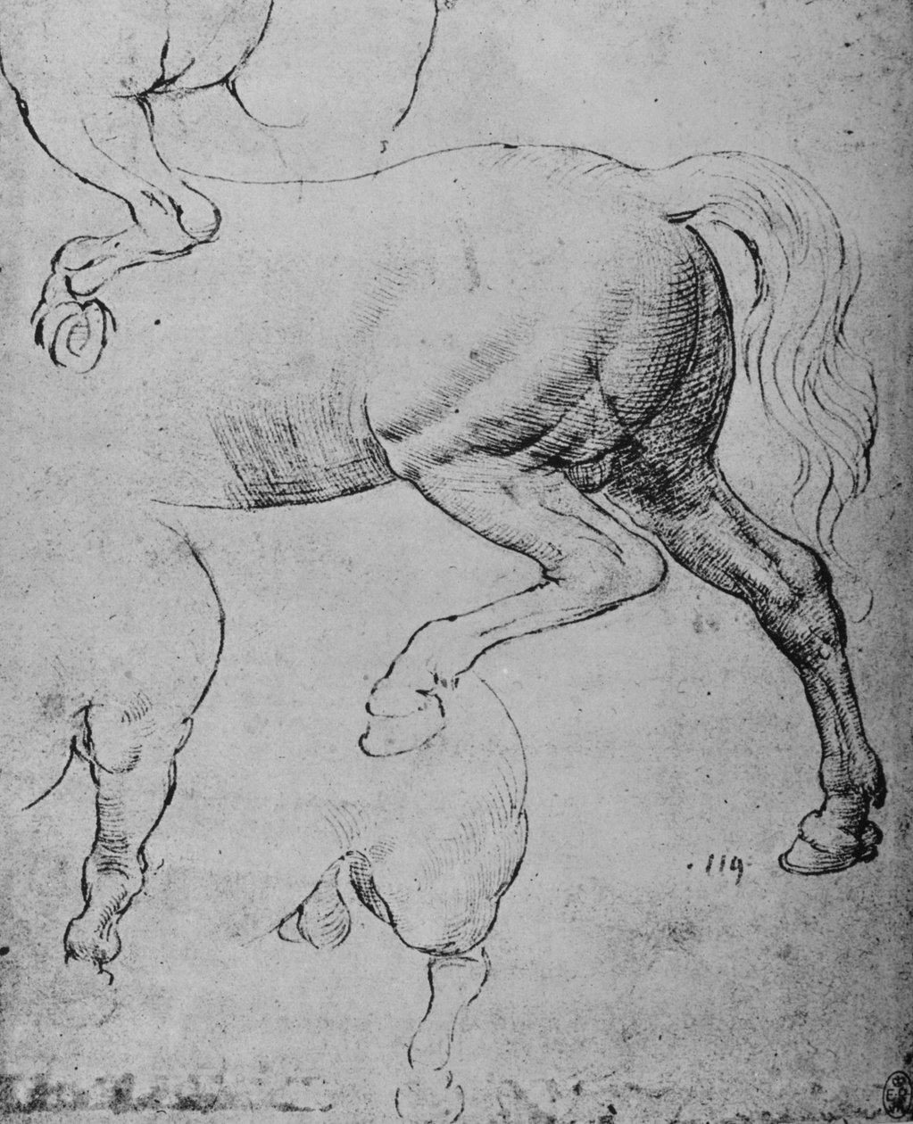 Tutkimuksia hevosen takaneljänneksistä ja takajaloista, c1480 1945 tekijältä Leonardo da Vinci